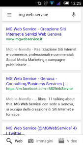 mg web service