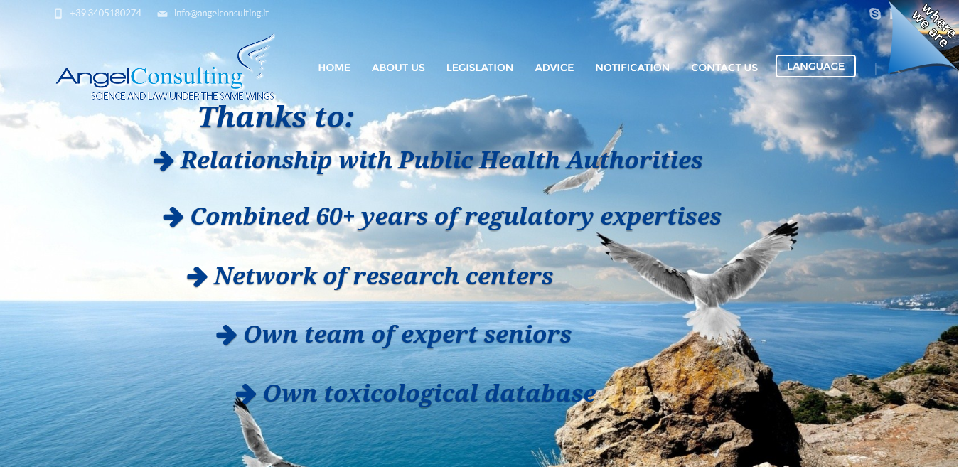 Home Page - Angel Consulting 2015-12-17 10-38-34